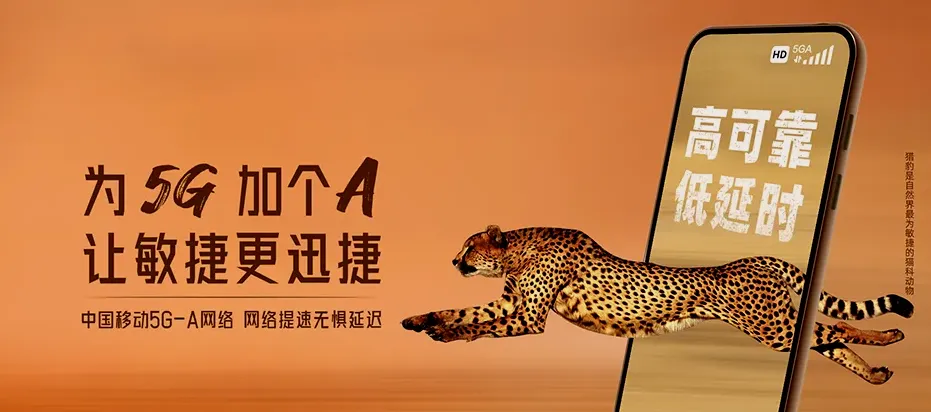 崇信县崇信县柏树镇 移动宽带